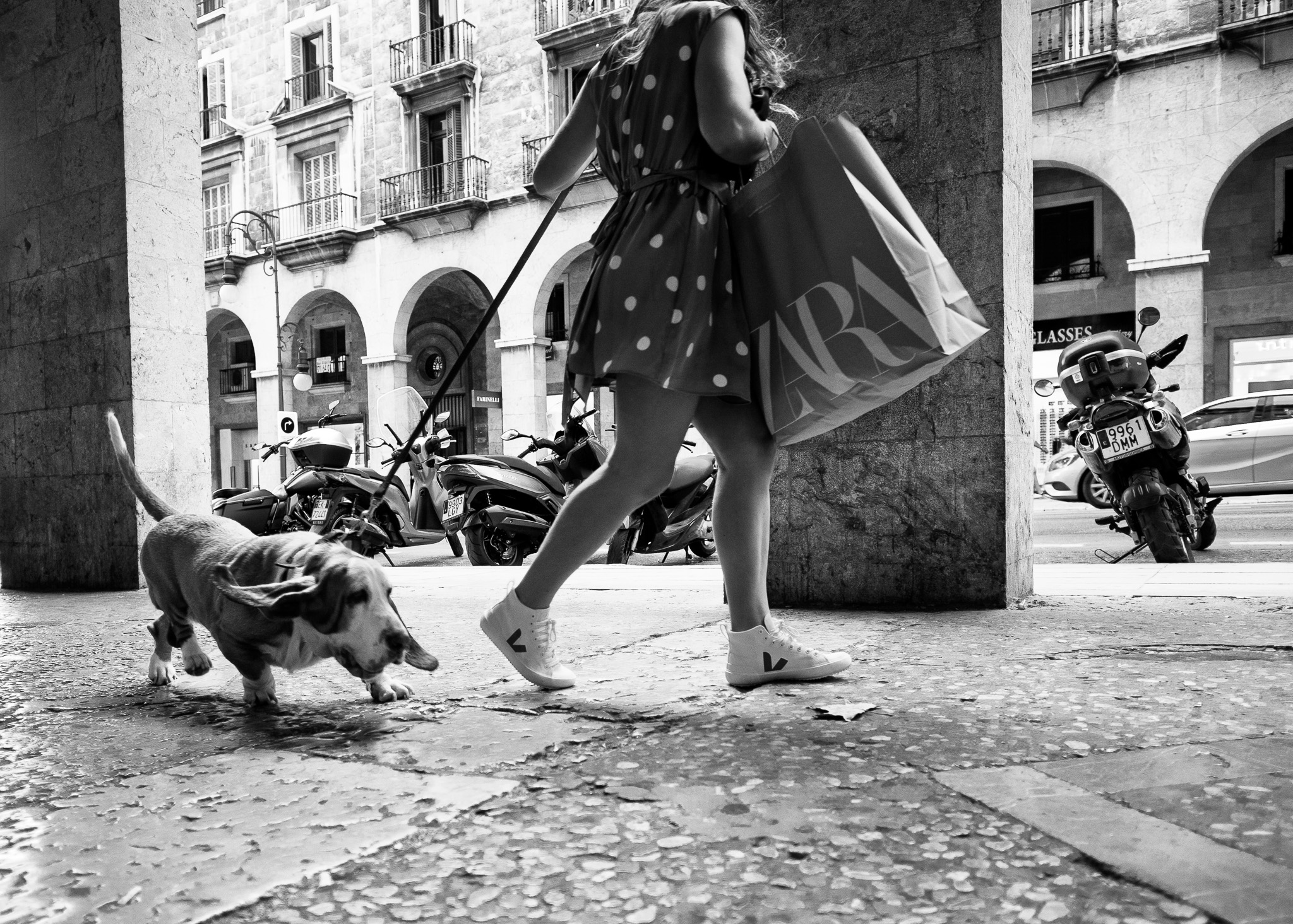 Descripci�n de la foto 2